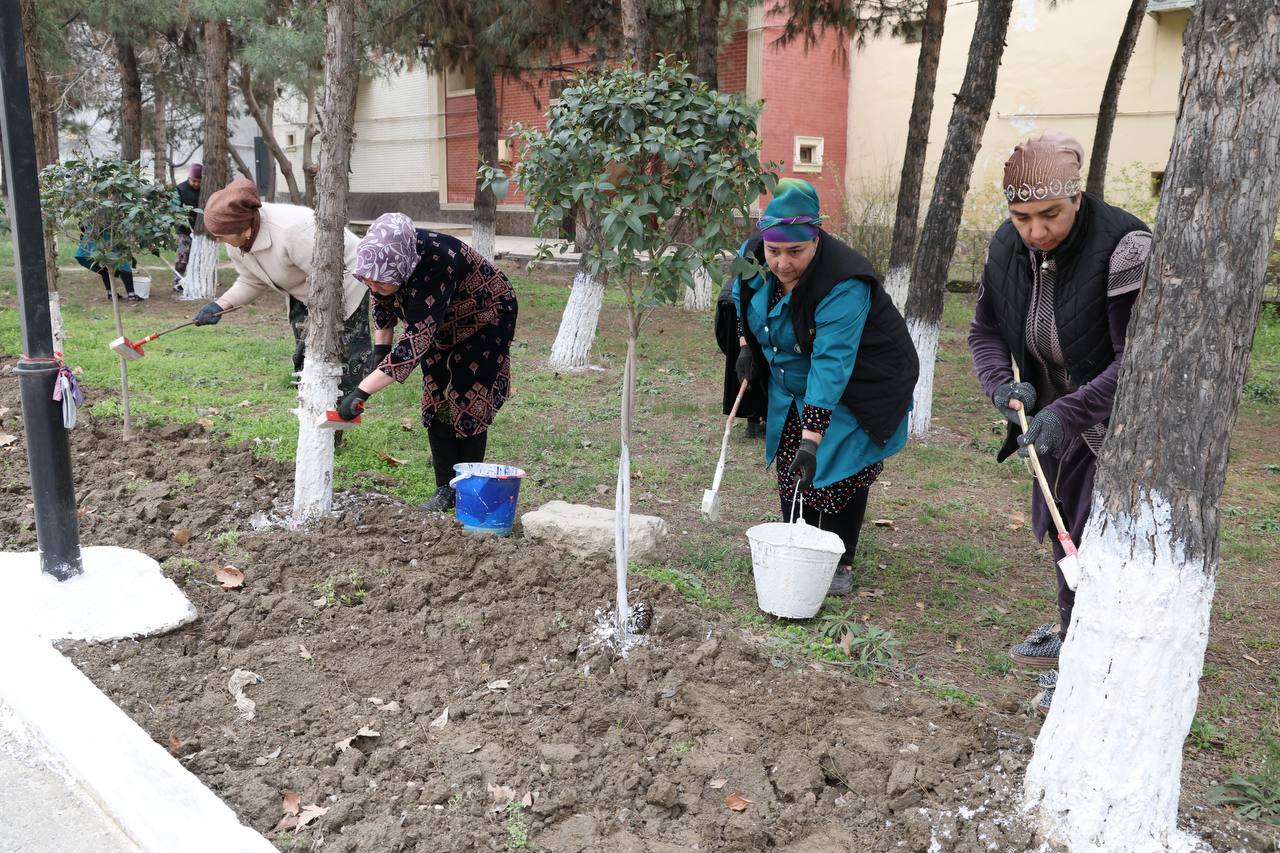 SamDPIda umumxalq hashari davom etmoqda