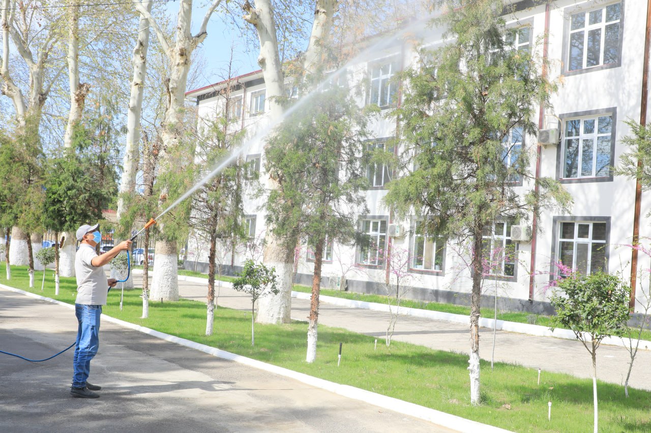 Institut hududida o‘simliklar himoyasi amalga oshirildi