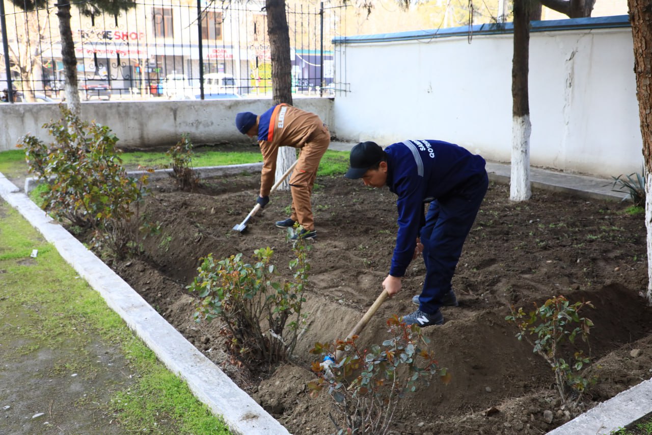 Ayni paytda Samarqand davlat pedagogika institutida “Yurt obodligi, avvalo, mahalladan boshlanadi!” shiori ostida keng ko‘lamli umumxalq hashari bo‘lib o‘tmoqda.