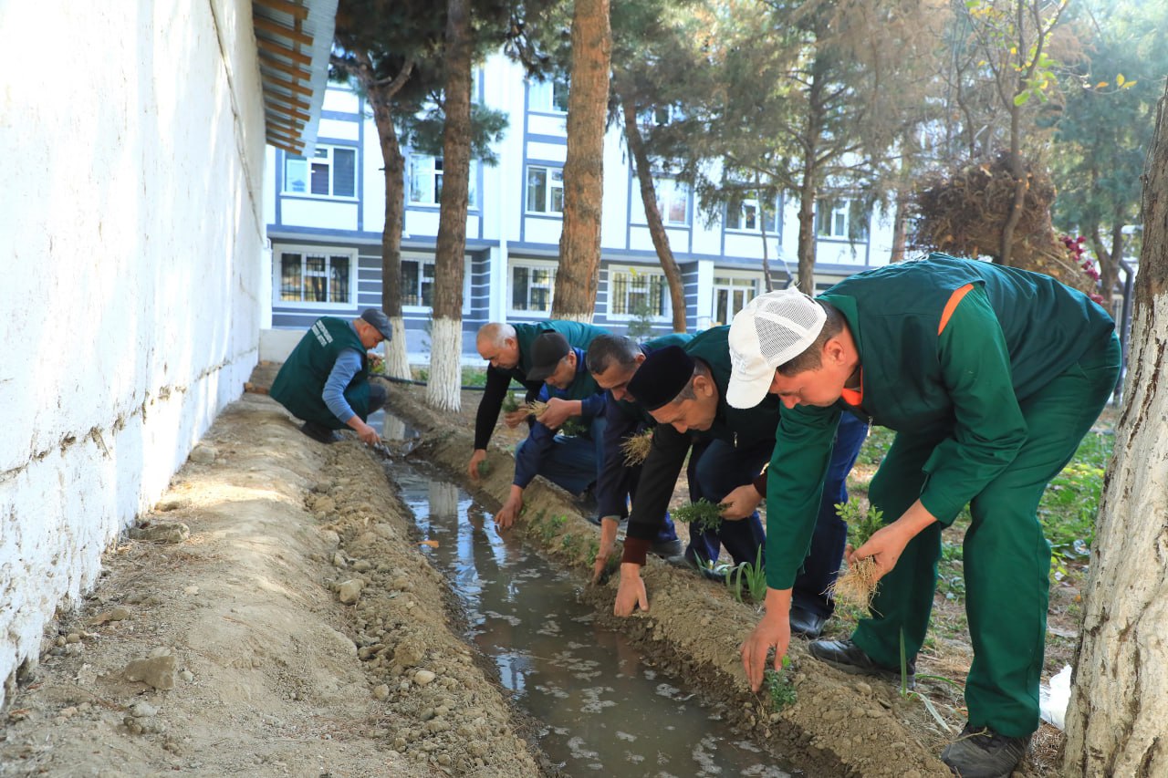 “Yashil makon” umummilliy loyihasi doirasida Samarqand davlat pedagogika instituti hududiga 875 tup buta va ko‘chatlar ekildi.