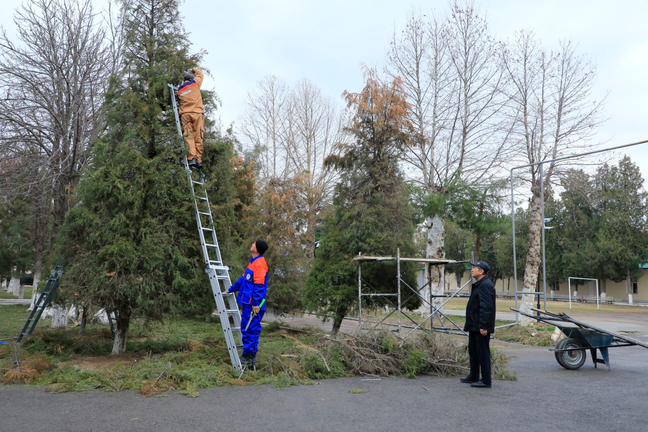 “Yashil institut” sari: SamDPI hududida ko‘kalamzorlashtirish ishlari